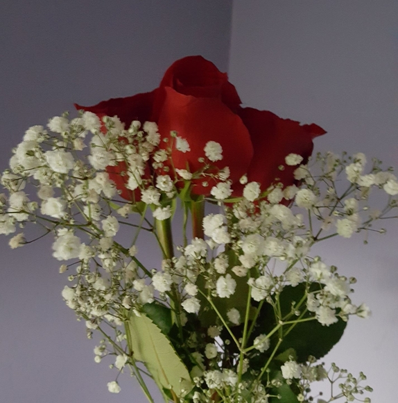 Meet your Posher, Sheryl - Picture 1 of 1